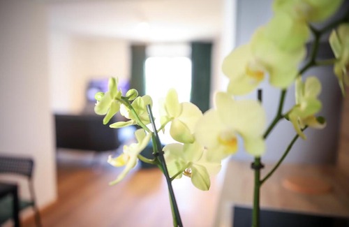 Lechhausen-Ost Apartment | BRIGHT - Stylish apartment - Kitchen - Parking - Netflix