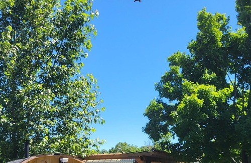 Bradford West Gwillimbury House | Bring your tent and camp. With a pool , basketball court . Shared the pool.