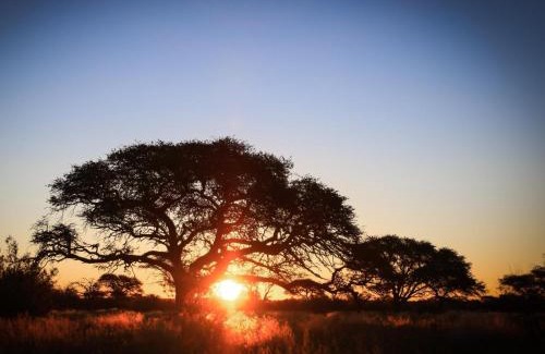 McGregor Private Nature Reserve House | Broadwater River Estate