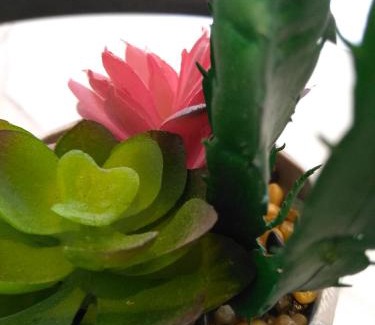 Cainta Apartment | Brokeside