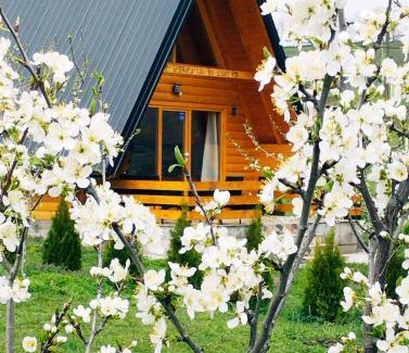 Sumadija Ski Chalet | Brvnara Kao na dlanu