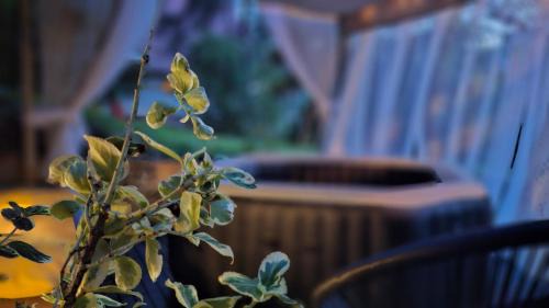 Divcibare House | Brvnara Majstorović