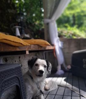 Divcibare House | Brvnara Majstorović