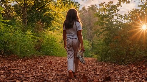 Vrdnik Apartment | Brvnare - Ranč Platan