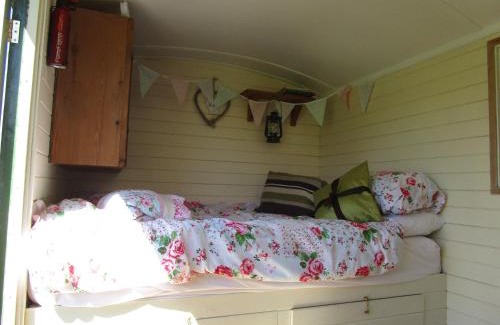 Llandysul Other | Bryn Parc