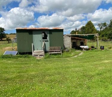 Llandysul Other | Bryn Parc