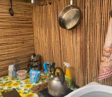 Llandysul Other | Bryn Parc