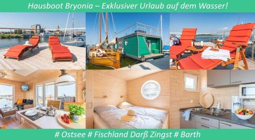 Barth House | Bryonia