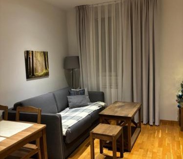 Kopaonik Apartment | BRZECE SKI GONDOLA & FREE PARKING apartment