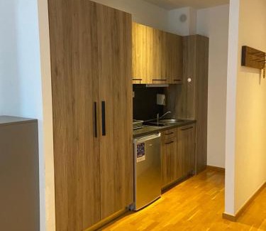 Kopaonik Apartment | BRZECE SKI GONDOLA & FREE PARKING apartment