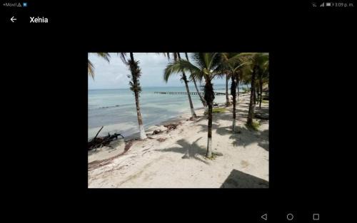 Carenero Island Resort | Buccaneer Resort