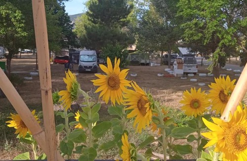 Manzanera Other | Buda de Gudar