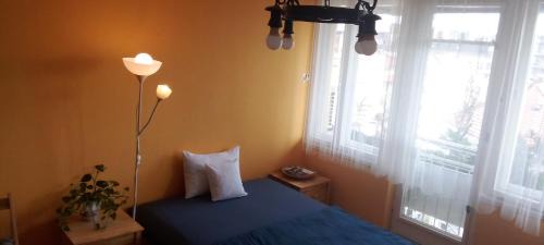 Vizivaros Apartment | Buda Super Panorama