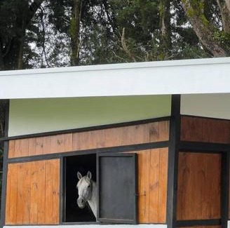 Sector Maria Auxiliadora House | Buena Vista Home