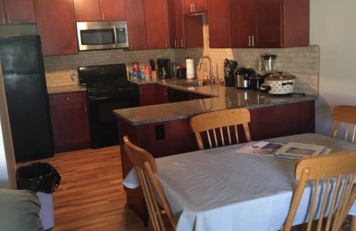 Willert Park House | Buffalo Downtown Condo/WIFI/Air/close to Falls/Spacious/Harbor center close