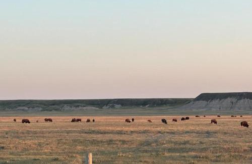 Northeast Entrance Badlands House | Buffalo Drift