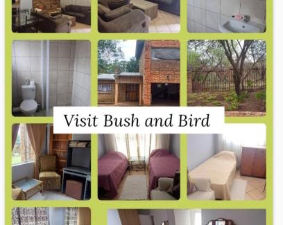 Tshwane House | Bufflesdrift Bush and Birding