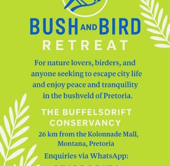 Tshwane House | Bufflesdrift Bush and Birding