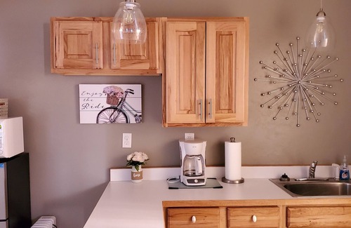 Biwabik Apartment | Building 108 NEW! Studio Apartment in Great Location.