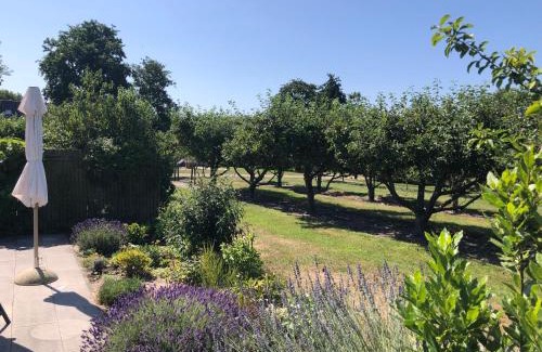 Westenschouwen House | Buitenplaats Schouwen