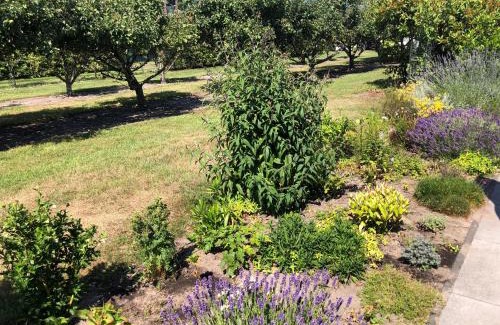 Westenschouwen House | Buitenplaats Schouwen