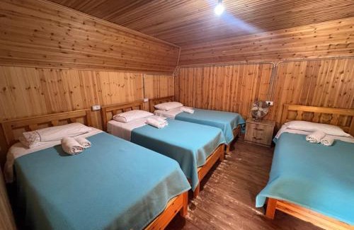 Shale House | Bujtina Carku