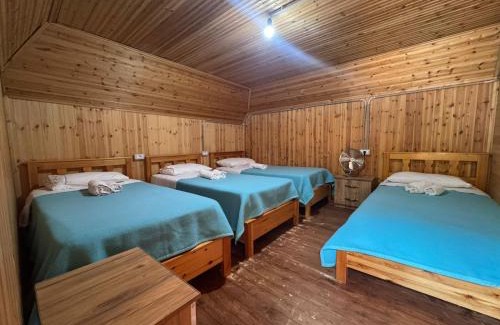 Shale House | Bujtina Carku