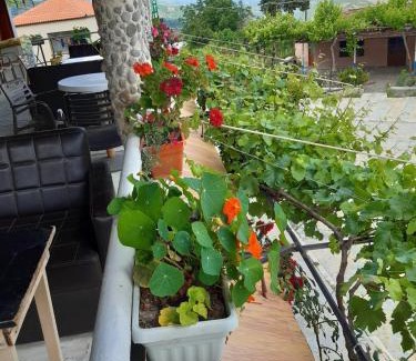 Albania Hotel | Bujtina Gjerbes