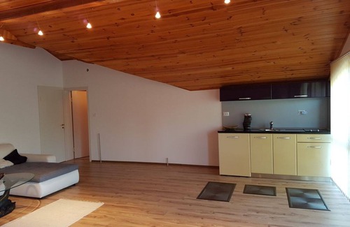 Elena House | BULGARIA truffle adventure - TRUFFLE SEARCH!