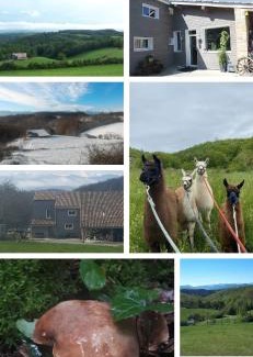 Sonnac-sur-l'Hers Other | Bulle perchée