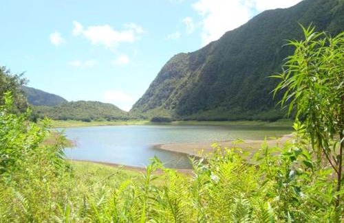 La Plaine-des-Palmistes House | Bungalow accueillant a La Plaine des Palmistes + Vue montagne