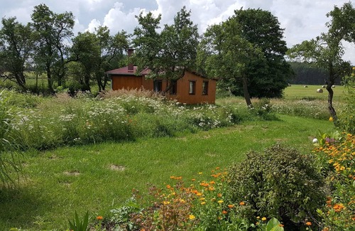 Milmersdorf House | Bungalow for 3 guests with 50m² in Milmersdorf (267990)