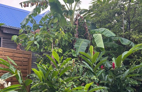 Les Abymes House | Bungalow Tout Confort en Guadeloupe
