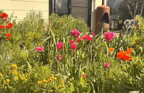 Bungendore House | Bungendore Bungalow