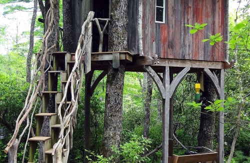 Lake Toxaway Cabin | Bunkhouse - Family Friendly Cabin - Close to Waterfalls