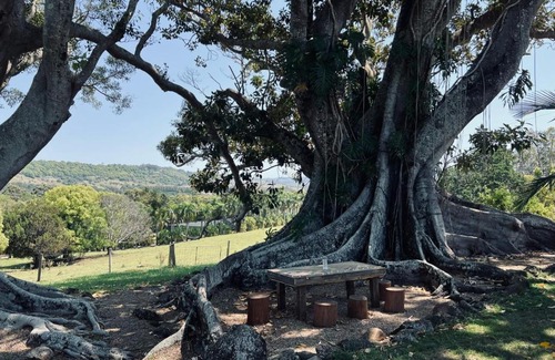 Ewingsdale House | Byron Hideaway