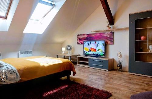 Hradec Kralove Apartment | Byt Komenskeho #1# v historickém centru Hradec Králově 60m2