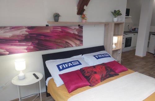 Hradec Kralove Apartment | Byt Komenskeho #1# v historickém centru Hradec Králově 60m2