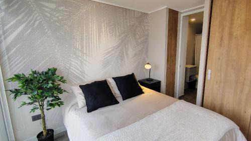 Nunoa Apartment | Céntrico Depto en Ñuñoa
