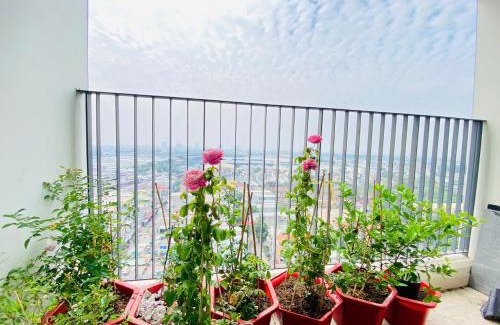 Di An Apartment | Căn hộ 2 phòng ngủ Bcons Garden view Landmark 81