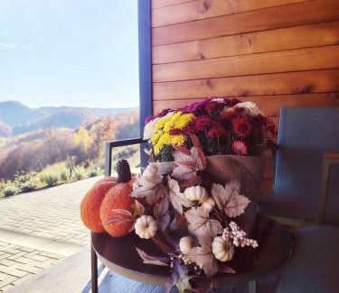 Ponor Ski Chalet | Căsuța de După Deal, Ponor