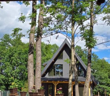 Arcani Villa | Căsuța din Zăvoi