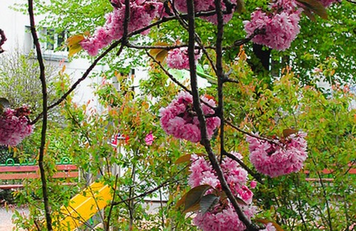 Saint-Marc House | Cœur de ville, 11 people