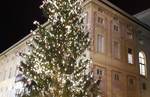 Genoa Historical Centre Apartment | Ca 'Sanlò: a stone's throw from the Aquarium of Genoa! Conventioned parking, free WiFI