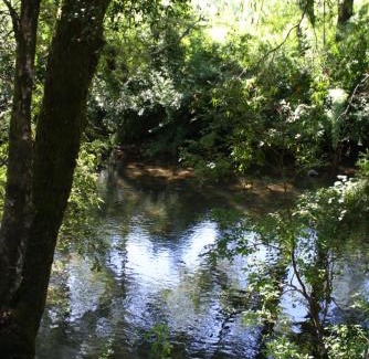 Villarrica House | Cabaña Aroma de Campo