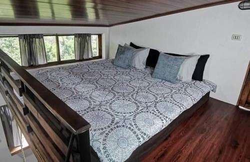 Agua Caliente Apartment | Cabaña Bambú