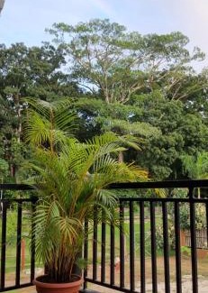 Tela House | Cabaña Bungalow