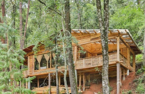 Acaxochitlan Apartment | Cabaña Chalchopan | Adrenalina en el bosque ⸙