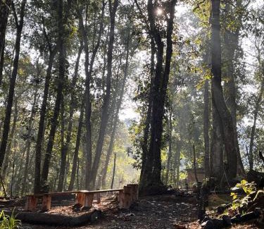 Chisec Ski Chalet | Cabaña de los Titos