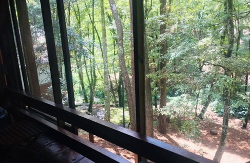 Valle de Bravo Cabin | Cabaña en el Bosque en Valle de Bravo. En Medio del Bosque, Para Descanso